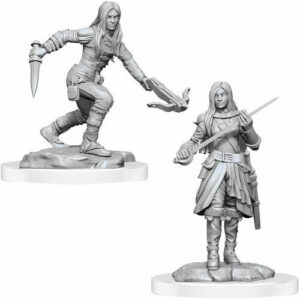 D&D Nolzur’s Marvelous Miniatures: Half-Elf Rogue Female