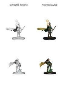 D&D Nolzur’s Marvelous Miniatures: Elf Female Druid