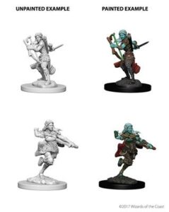 D&D Nolzur’s Marvelous Miniatures: Air Genasi Female Rogue