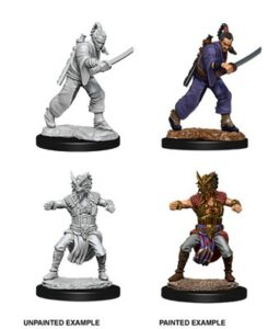 D&D Nolzur’s Marvelous Miniatures: Male Human Monk