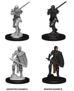 Dungeons & Dragons Nolzur’s Marvelous Miniatures: Female Human Fighter
