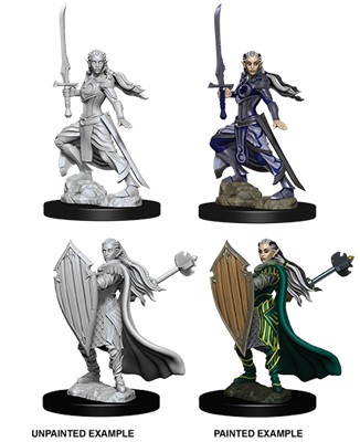 D&D Nolzur's Marvelous Miniatures: Female Elf Paladin