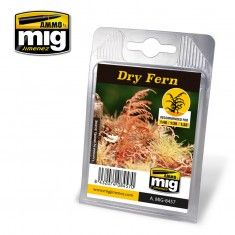 DRY FERN A.MIG-8457