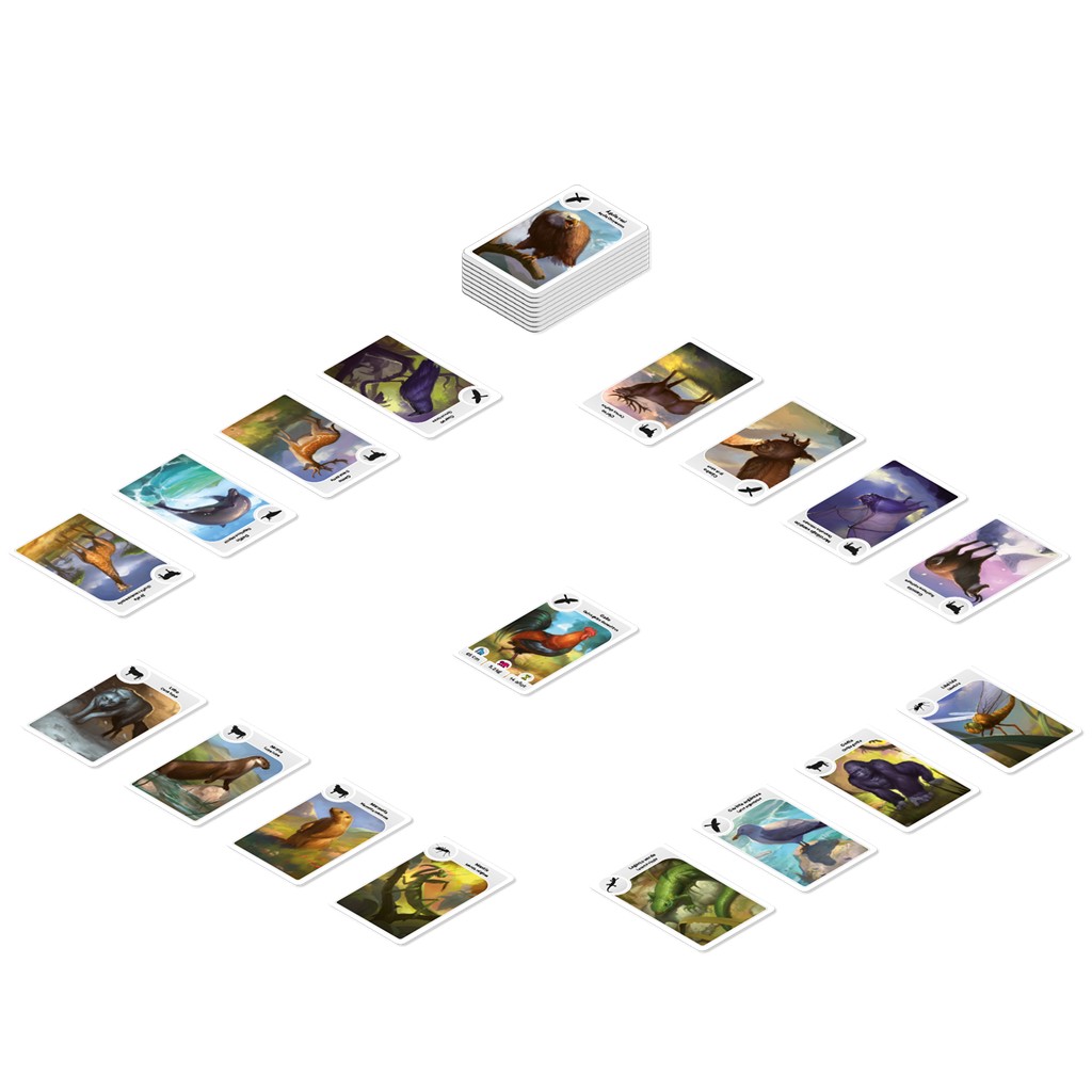 Cardline Animales - Imagen 2