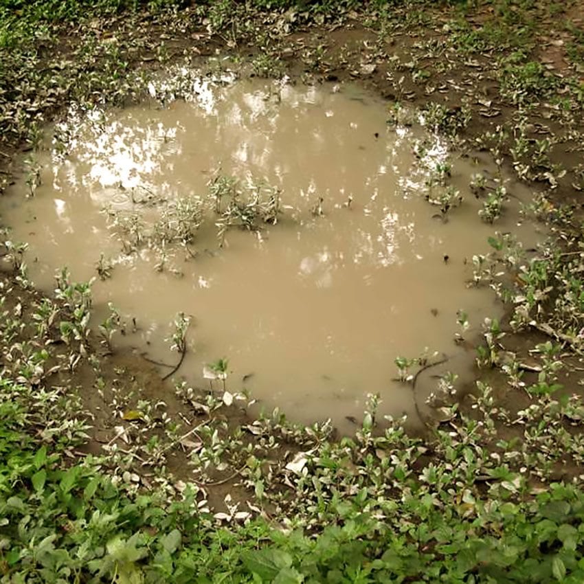 Puddles AK8028 - Imagen 2