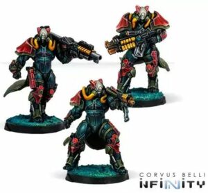 Infinity: Rodok, Armed Imposition Detachment (1005)