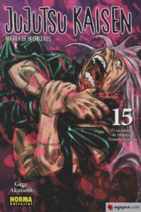 Jujutsu Kaisen – Guerra De Hechiceros: 15