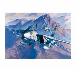 Academy: Avión “Tomcat” F-14A. Escala 1/72
