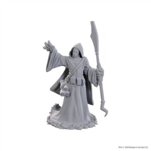 Dungeons & Dragons Nolzur’s Marvelous Miniatures: Star Spawn Larva Mage