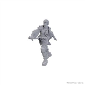Dungeons & Dragons Nolzur’s Marvelous Miniatures: Swashbuckler
