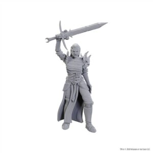 Dungeons & Dragons Nolzur’s Marvelous Miniatures: Blackguard
