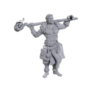 D&D Nolzur’s Marvelous Miniatures: Archdruid & Martial Arts Adept