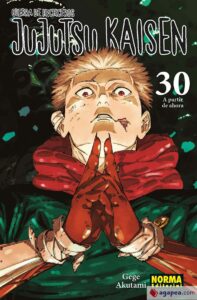 Jujutsu Kaisen – Guerra de Hechiceros: 30