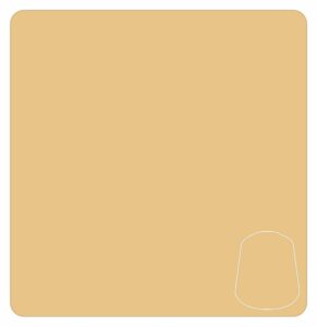 Warhammer Colour: Flayed One Flesh 22-72