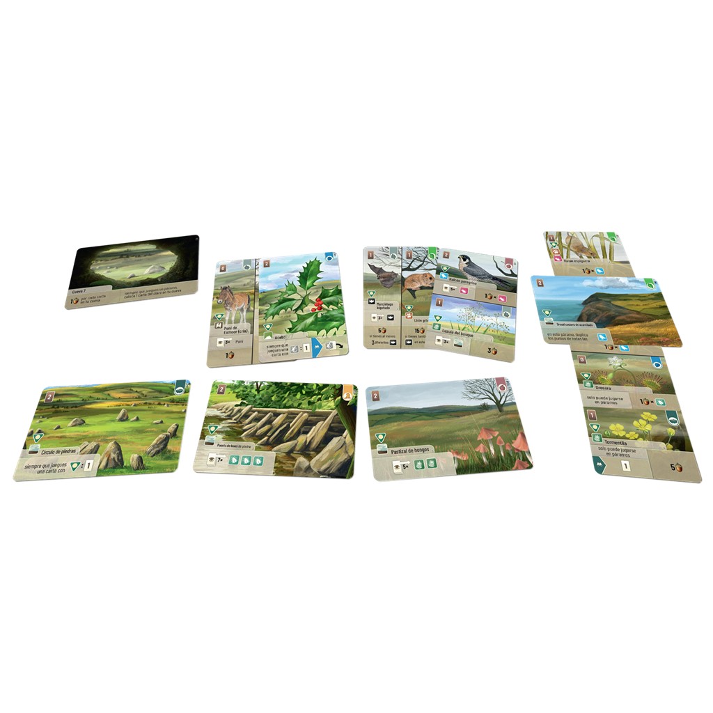 Forest Shuffle Dartmoor Exmoor - Imagen 2