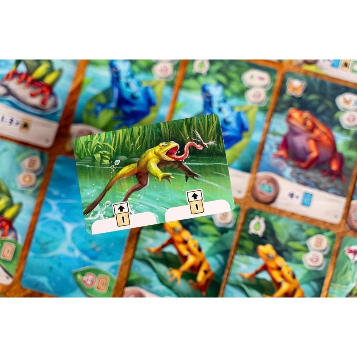 Pondscape + Promo (Rana) - Imagen 2